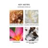 NEST New York Black Tulip Eau de Parfum – Includes 50 mL (Full Size) & 8 mL (Travel Spray) – Vegan & Cruelty Free(Sunkissed Hibiscus)