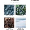 NEST New York Festive Petite Diffuser Trio – 1.3 fl oz Each – Includes Holiday, Birchwood Pine, and Blue Cypress & Snow – Fragrance for Up to 90 Days – Includes All-Natural Reed Sticks – Flame Free