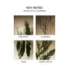 NEST New York Liquid Soap, Bamboo – 10 fl oz – Cleanses & Nourishes Skin – Approx. 300 Pumps Per Bottle – Gluten Free & Cruelty Free(Cedar Leaf & Lavender)