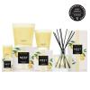 NEST New York Liquid Soap Set, Sunlit Yuzu & Neroli – Includes Two 10 fl oz Bottles – Cleanses & Nourishes Skin – Approx. 300 Pumps Per Bottle – Gluten Free & Cruelty Free