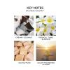 NEST New York Perfume Oil Discovery Set – Includes Balinese Coconut, Turkish Rose, Seville Orange, Indian Jasmine & Madagascar Vanilla – Vegan & Cruelty Free