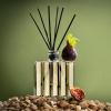 NEST New York Reed Diffuser, Autumn Plum – 5.9 fl oz – Fragrance for Up to 90 Days – Reusable, Refillable Glass Holder – Includes 8 All-Natural Reed Sticks – Flame Free(Pistachio & Wild Fig)