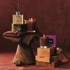 NEST New York Reed Diffuser, Autumn Plum – 5.9 fl oz – Fragrance for Up to 90 Days – Reusable, Refillable Glass Holder – Includes 8 All-Natural Reed Sticks – Flame Free(Autumn Plum)