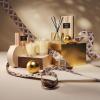 NEST New York Reed Diffuser, Crystallized Ginger & Vanilla Bean – 5.9 fl oz – Fragrance for Up to 90 Days – Reusable, Refillable Glass Holder – Includes 8 All-Natural Reed Sticks – Flame Free(Crystallized Ginger & Van Bean)