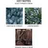 NEST New York Reed Diffuser, Crystallized Ginger & Vanilla Bean – 5.9 fl oz – Fragrance for Up to 90 Days – Reusable, Refillable Glass Holder – Includes 8 All-Natural Reed Sticks – Flame Free(Blue Cypress & Snow)