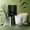 NEST New York Reed Diffuser Liquid Refill, Bamboo – 5.9 fl oz – Fragrance for Up to 90 Days – Flame Free(Bamboo)