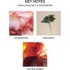 NEST New York Reed Diffuser Liquid Refill, Bamboo – 5.9 fl oz – Fragrance for Up to 90 Days – Flame Free(Himalayan Salt & Rosewater)
