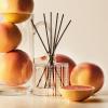 NEST New York Reed Diffuser Liquid Refill Bundle, Cedar Leaf & Lavender – Includes Three 5.9 fl oz Refill Bottles(Grapefruit)
