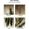 NEST New York Reed Diffuser, Moroccan Amber – 5.9 fl oz – Fragrance for Up to 90 Days – Reusable, Refillable Glass Holder – Includes 8 All-Natural Reed Sticks – Flame Free(Cedar Leaf & Lavender)