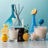 NEST New York Reed Diffuser, Moroccan Amber – 5.9 fl oz – Fragrance for Up to 90 Days – Reusable, Refillable Glass Holder – Includes 8 All-Natural Reed Sticks – Flame Free(Amalfi Lemon & Mint)
