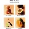 NEST New York Reed Diffuser, Moroccan Amber – 5.9 fl oz – Fragrance for Up to 90 Days – Reusable, Refillable Glass Holder – Includes 8 All-Natural Reed Sticks – Flame Free(Sicilian Tangerine)