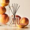 NEST New York Reed Diffuser, Moroccan Amber – 5.9 fl oz – Fragrance for Up to 90 Days – Reusable, Refillable Glass Holder – Includes 8 All-Natural Reed Sticks – Flame Free(Grapefruit)