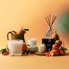 NEST New York Reed Diffuser, Moroccan Amber – 5.9 fl oz – Fragrance for Up to 90 Days – Reusable, Refillable Glass Holder – Includes 8 All-Natural Reed Sticks – Flame Free(Sicilian Tangerine)