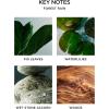 NEST New York Reed Diffuser, Moroccan Amber – 5.9 fl oz – Fragrance for Up to 90 Days – Reusable, Refillable Glass Holder – Includes 8 All-Natural Reed Sticks – Flame Free(Forest Rain)