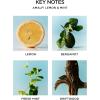 NEST New York Reed Diffuser, Moroccan Amber – 5.9 fl oz – Fragrance for Up to 90 Days – Reusable, Refillable Glass Holder – Includes 8 All-Natural Reed Sticks – Flame Free(Amalfi Lemon & Mint)