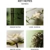 NEST New York Reed Diffuser, Reed Diffuser Liquid Refill & Liquid Soap – Grapefruit(Bamboo)