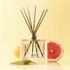 NEST New York Reed Diffuser, Reed Diffuser Liquid Refill & Liquid Soap – Grapefruit(Grapefruit)