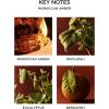 NEST New York Reed Diffuser, Reed Diffuser Liquid Refill & Liquid Soap – Grapefruit(Morrocan Amber)