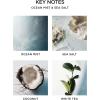 NEST New York Reed Diffuser, Reed Diffuser Liquid Refill & Liquid Soap – Grapefruit(Ocean Mist & Sea Salt)