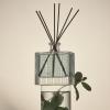 NEST New York Reed Diffuser, Reed Diffuser Liquid Refill & Liquid Soap – Wild Mint & Eucalyptus