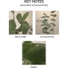 NEST New York Reed Diffuser, Reed Diffuser Liquid Refill & Liquid Soap – Wild Mint & Eucalyptus