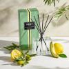NEST New York Reed Diffuser, Santorini Olive & Citron – 5.9 fl oz – Fragrance for Up to 90 Days – Reusable, Refillable Glass Holder – Includes 8 All-Natural Reed Sticks – Flame Free