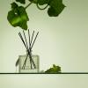 NEST New York Reed Diffuser Wellness Bundle – Includes Cucumber & White Sage, Himalayan Salt & Rosewater, and Sunlit Yuzu & Neroli – 5.9 fl oz Each
