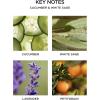 NEST New York Reed Diffuser Wellness Bundle – Includes Cucumber & White Sage, Himalayan Salt & Rosewater, and Sunlit Yuzu & Neroli – 5.9 fl oz Each