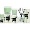 NEST New York Scented 3-Wick Candle, Cucumber & White Sage – 21.2 oz, Pack of 2 – Up to 100-Hour Burn Time – Reusable Glass Vessel(Cucumber & White Sage)