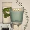 NEST New York Scented 3-Wick Candle, Cucumber & White Sage – 21.2 oz, Pack of 2 – Up to 100-Hour Burn Time – Reusable Glass Vessel(Wild Mint & Eucalyptus)