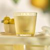 NEST New York Scented 3-Wick Candle, Driftwood & Chamomile – 21.2 oz – Up to 100-Hour Burn Time – Reusable Glass Vessel(Sunlit Yuzu & Neroli)