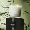 NEST New York Scented 3-Wick Candle Duo – Bamboo & Grapefruit, 21.2 oz, Pack of 2 – Up to 100-Hour Burn Time – Reusable Glass Vessel(Bamboo & Grapefruit)