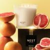 NEST New York Scented 3-Wick Candle Duo – Bamboo & Grapefruit, 21.2 oz, Pack of 2 – Up to 100-Hour Burn Time – Reusable Glass Vessel(Grapefruit)