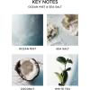 NEST New York Scented 3-Wick Candle, Ocean Mist & Sea Salt – 21.2 oz – Up to 100-Hour Burn Time – Reusable Glass Vessel(Ocean Mist & Sea Salt)