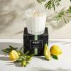 NEST New York Scented 3-Wick Candle, Santorini Olive & Citron – 21.2 oz – Up to 100-Hour Burn Time – Reusable Glass Vessel