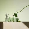 NEST New York Scented Classic Candle, Cucumber & White Sage – 8.1 oz – Up to 60-Hour Burn Time – Reusable Glass Vessel(Cucumber & White Sage)