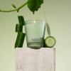 NEST New York Scented Classic Candle, Cucumber & White Sage – 8.1 oz – Up to 60-Hour Burn Time – Reusable Glass Vessel(Cucumber & White Sage)