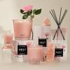 NEST New York Scented Classic Candle, Cucumber & White Sage – 8.1 oz – Up to 60-Hour Burn Time – Reusable Glass Vessel(Himalayan Salt & Rosewater)