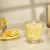 NEST New York Scented Classic Candle, Cucumber & White Sage – 8.1 oz – Up to 60-Hour Burn Time – Reusable Glass Vessel(Sunlit Yuzu & Neroli)
