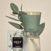 NEST New York Scented Classic Candle, Cucumber & White Sage – 8.1 oz – Up to 60-Hour Burn Time – Reusable Glass Vessel(Wild Mint & Eucalyptus)