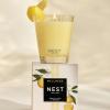 NEST New York Scented Classic Candle, Driftwood & Chamomile – 8.1 oz – Up to 60-Hour Burn Time – Reusable Glass Vessel(Sunlit Yuzu & Neroli)