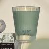 NEST New York Scented Classic Candle, Driftwood & Chamomile – 8.1 oz – Up to 60-Hour Burn Time – Reusable Glass Vessel(Wild Mint & Eucalyptus)