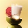 NEST New York Scented Classic Candle Duo, Forest Rain – 8.1 oz, Pack of 2 – Up to 60-Hour Burn Time Each – Reusable Glass Vessel(Grapefruit)