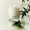 NEST New York Scented Classic Candle Duo, Forest Rain – 8.1 oz, Pack of 2 – Up to 60-Hour Burn Time Each – Reusable Glass Vessel(Indian Jasmine)