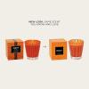 NEST New York Scented Classic Candle, Pumpkin Chai – 8.1 oz – Up to 60-Hour Burn Time – Reusable Glass Vessel(Pumpkin Chai)