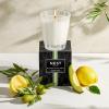 NEST New York Scented Classic Candle, Santorini Olive & Citron – 8.1 oz – Up to 60-Hour Burn Time – Reusable Glass Vessel