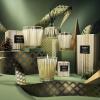 NEST New York Scented Grand Candle, Birchwood Pine – 77 oz – Up to 175-Hour Burn Time – Reusable Glass Vessel(Birchwood Pine)