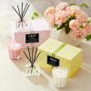 NEST New York Scented Petite Candle (4.5 oz) & Diffuser (1.3 fl oz) Set, Grapefruit – Reusable Glass Vessel – Vegan, Cruelty Free