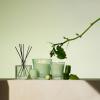 NEST New York Scented Votive Candle, Wild Mint & Eucalyptus – 2 oz – Up to 28-Hour Burn Time – Reusable Glass Vessel(Cucumber & White Sage)