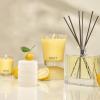NEST New York Scented Votive Candle, Wild Mint & Eucalyptus – 2 oz – Up to 28-Hour Burn Time – Reusable Glass Vessel(Sunlit Yuzu & Neroli)
